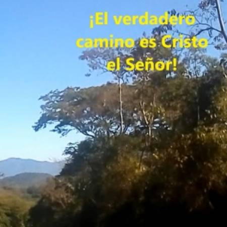 Vidéo de Guadalupe : Exemple de Charité